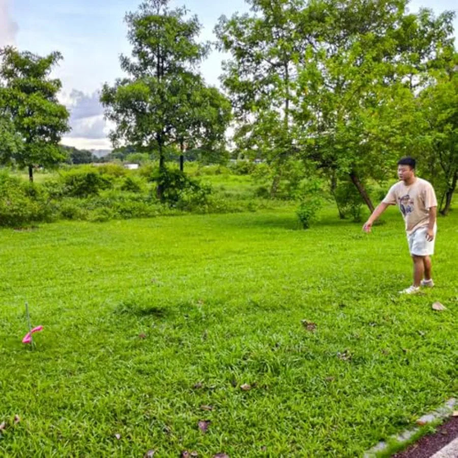 Backyard and beach outdoor game set: solid steel horseshoes and stakes in silver portable with carrying bag durable professiona